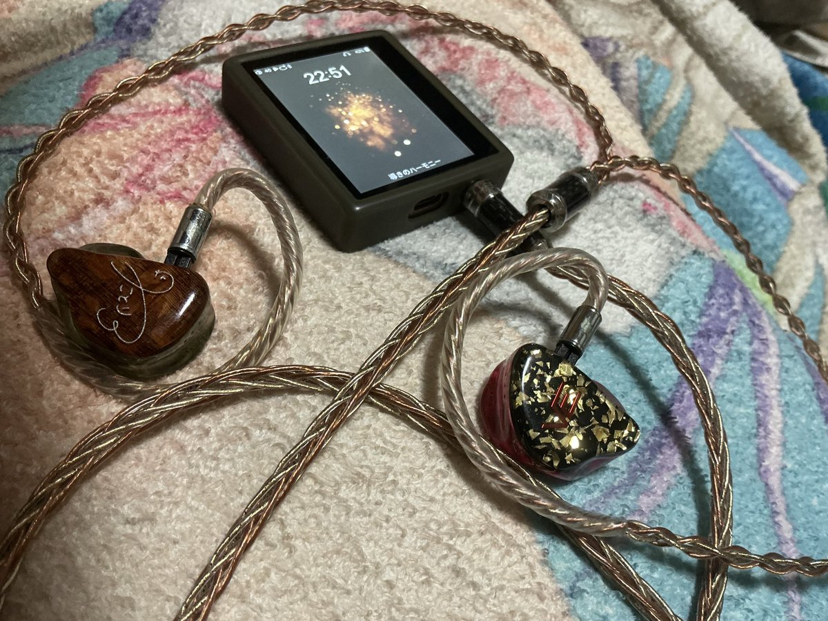 Vision Ears Meisterだな