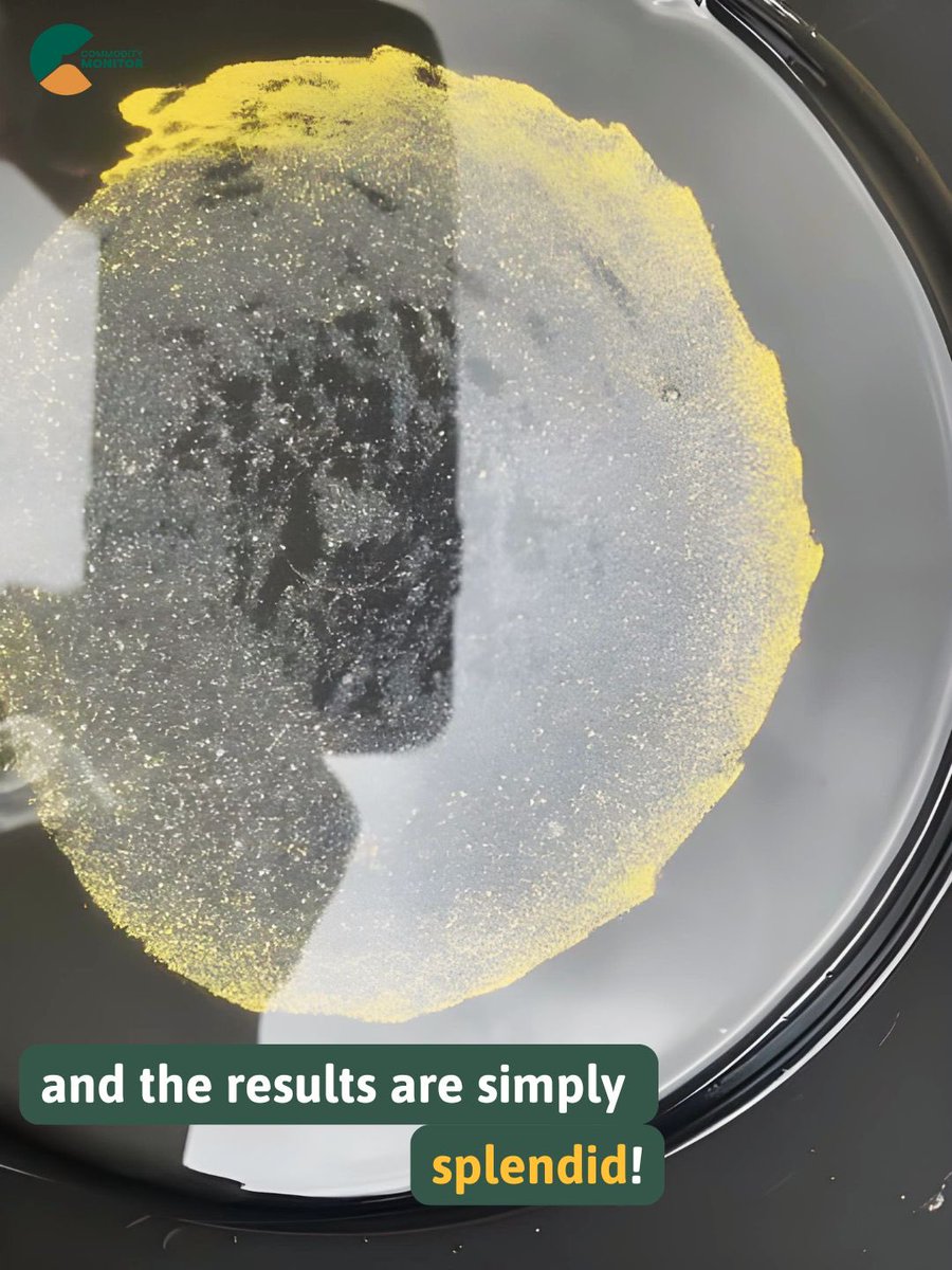 Comm_Monitor's tweet photo. 10 minutes is all it took. ⏱️✨

We put our mercury-free processing plant to the test with this ore from Côte d'Ivoire. 

The Result: A 10-minute run, zero mercury, and the splendid gold recovery you see in the second slide.

🧵1/2 https://t.co/8NfREQteam