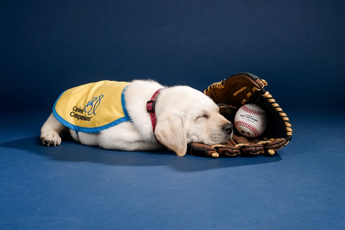 Washington Nationals tweet media