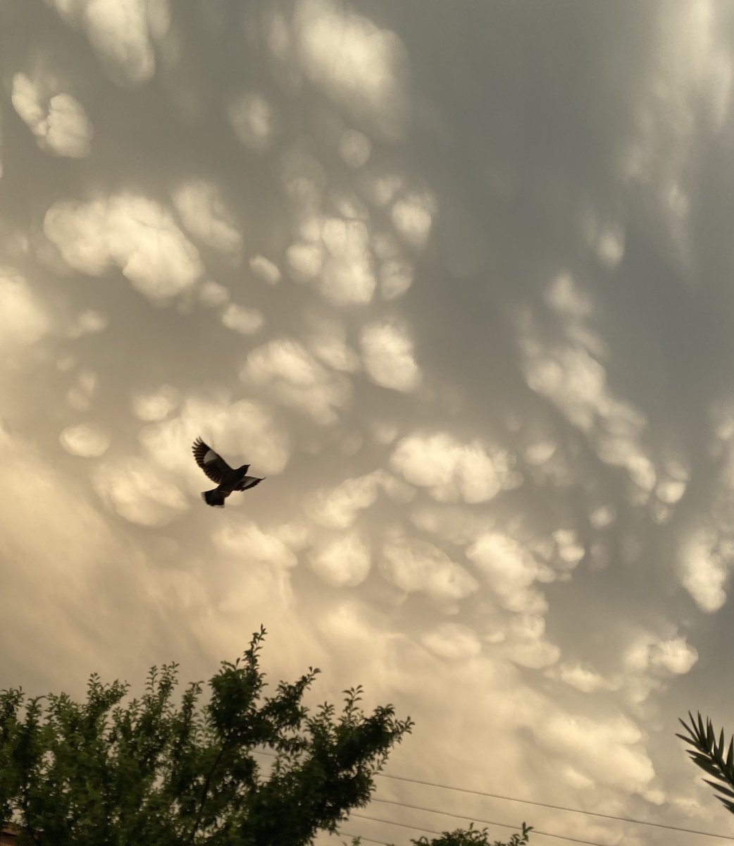 duSky ⋆ tweet media