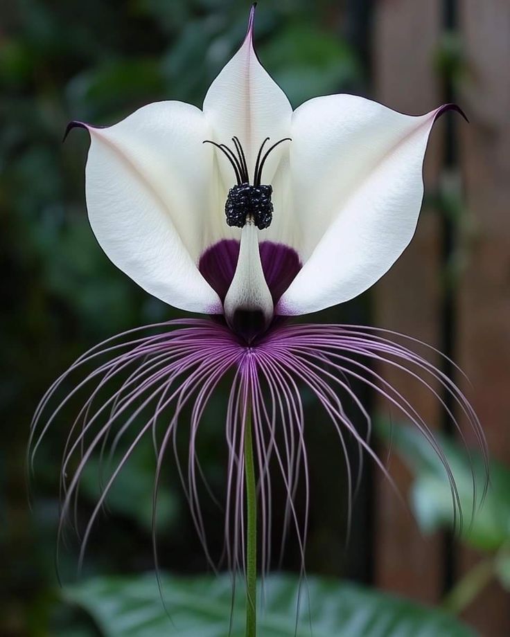 Flowers tweet media