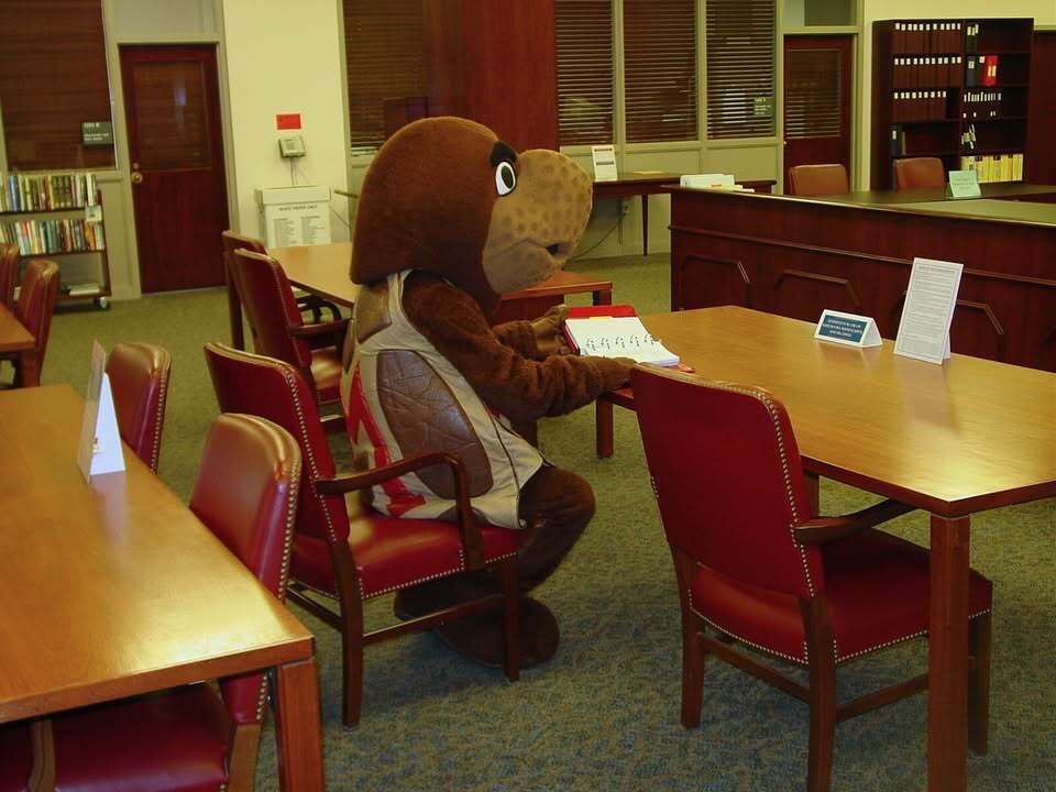 UMD Libraries tweet media