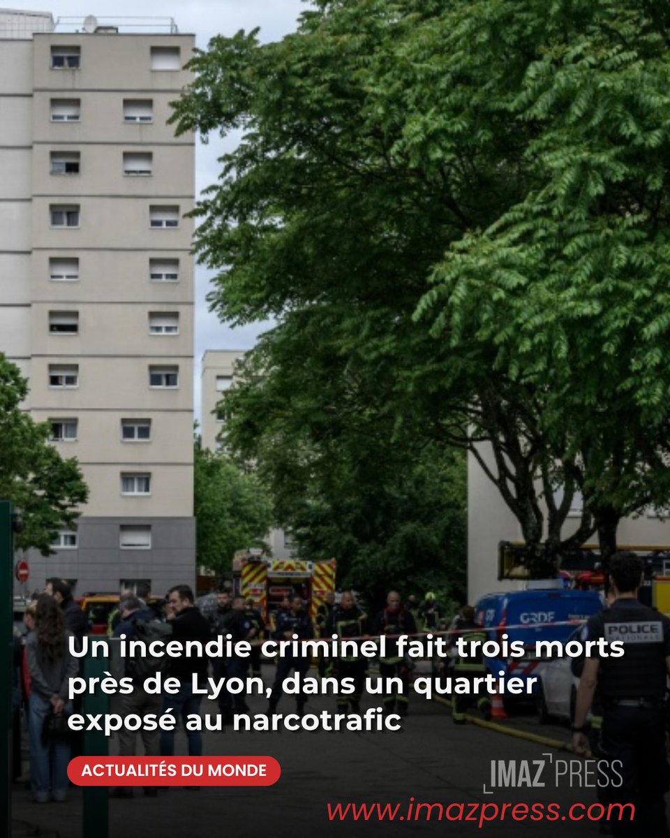 Imaz Press Réunion 🇷🇪 tweet media