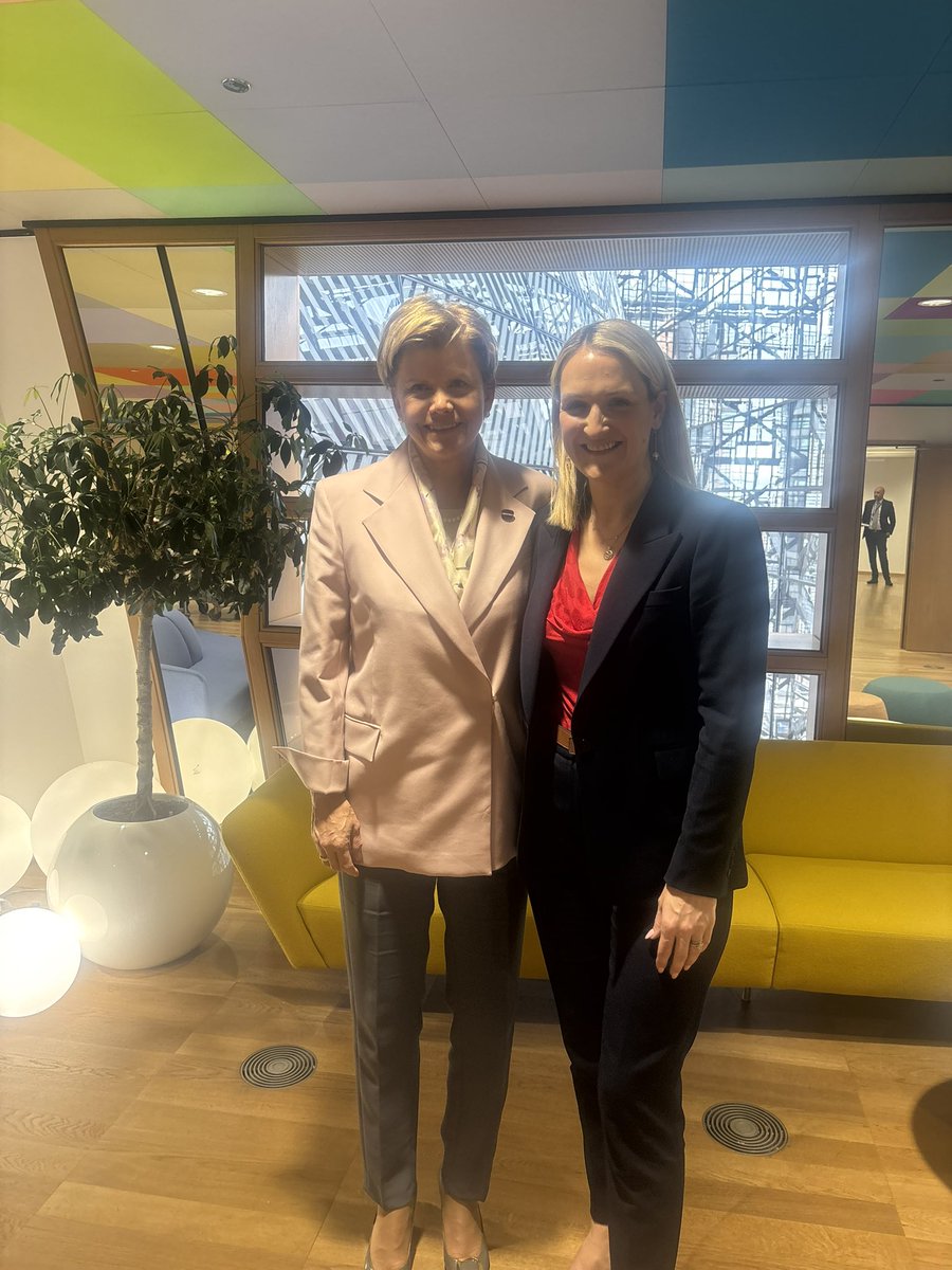 Helen McEntee TD tweet media