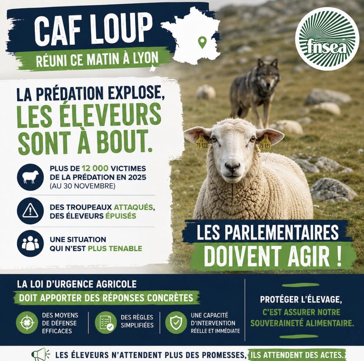 FNSEA's tweet photo. Réuni ce matin à Lyon à l’occasion du CAF Loup, le monde de l’élevage a une nouvelle fois tiré la sonnette d’alarme face à l’explosion de la prédation.

Plus de 12 000 victimes en 2025.
Des troupeaux attaqués.
Des éleveurs épuisés.

Face à cette réalité, les parlementaires doivent maintenant prendre leurs responsabilités. La loi d’urgence pour la protection et la souveraineté agricoles ne peut pas rester au milieu du gué sur la question du loup.

Les éleveurs attendent des décisions concrètes :
➡️ des moyens de défense efficaces
➡️ des règles simplifiées
➡️ une capacité d’intervention réelle et immédiate

À l’heure de l’examen du texte à l’Assemblée nationale, il est urgent d’agir pour protéger l’élevage et le pastoralisme français.

Les éleveurs n’attendent plus des promesses. Ils attendent des actes.