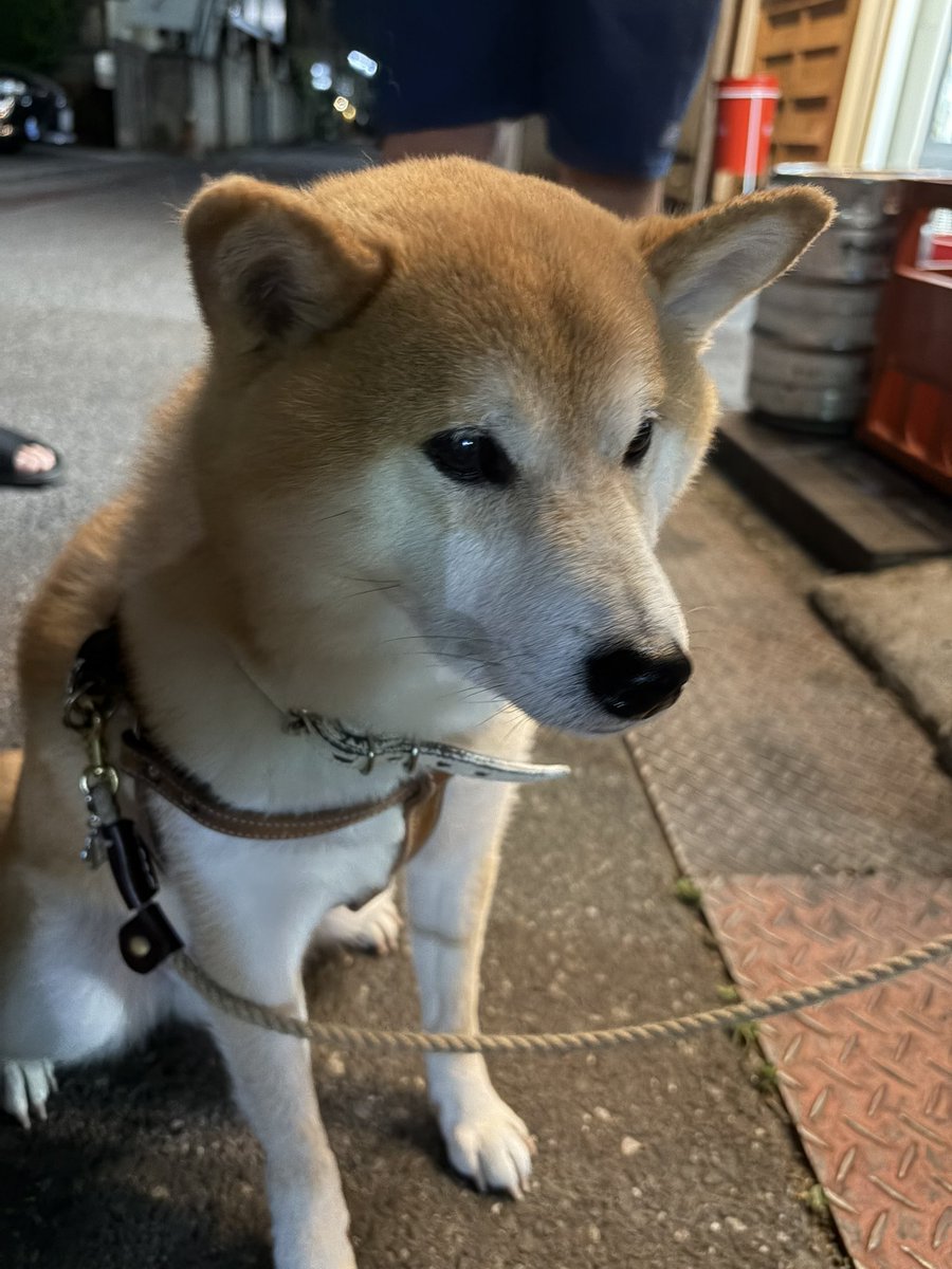 ピークゆくた！ tweet media