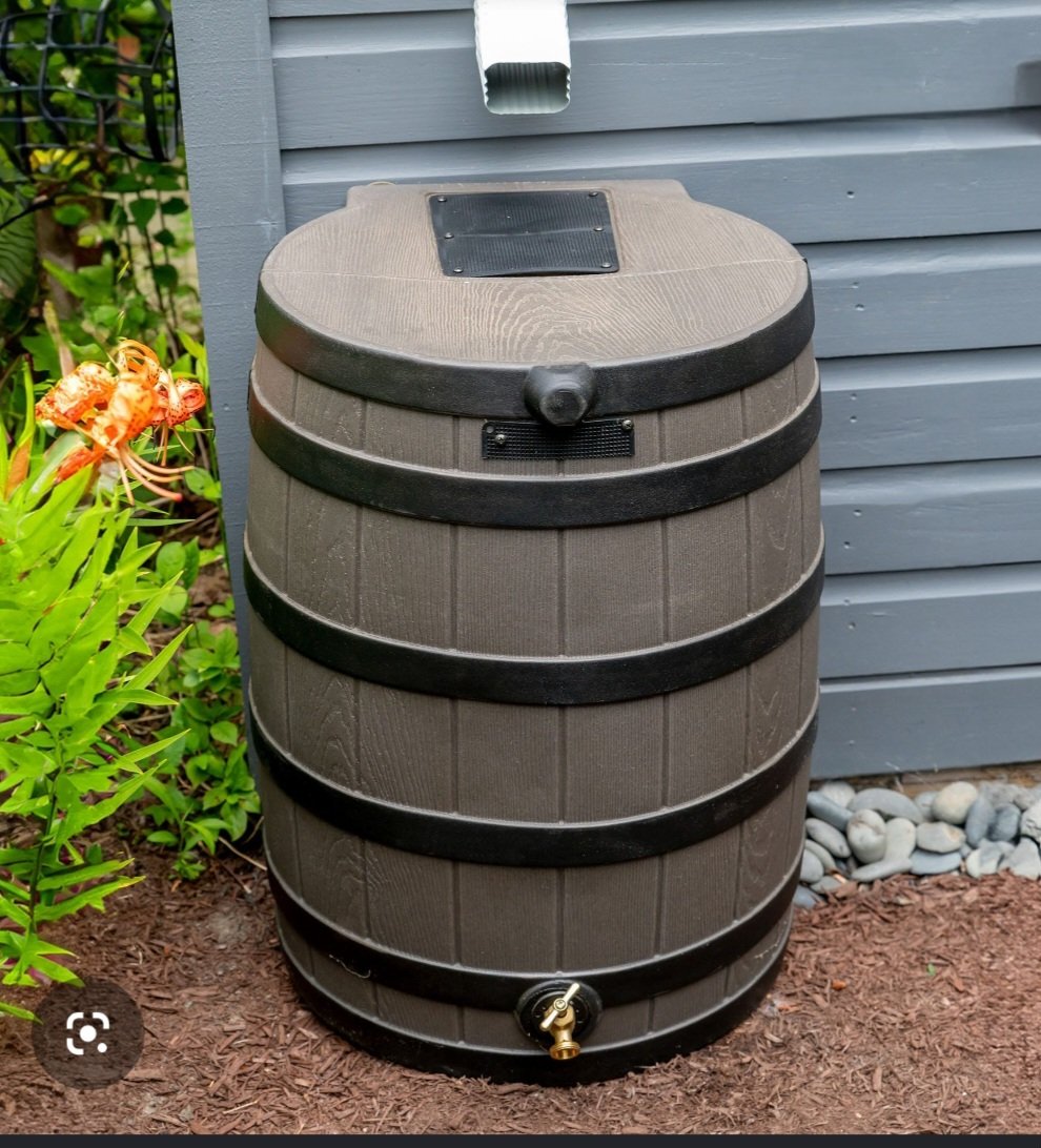 onenonly143's tweet photo. Love my rain Barrel for flushing when needed. Constant free water supply.
#GOODDAYDETROIT https://t.co/Ni6DlBR41k