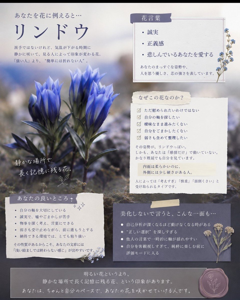 園田みのり(風花) tweet media