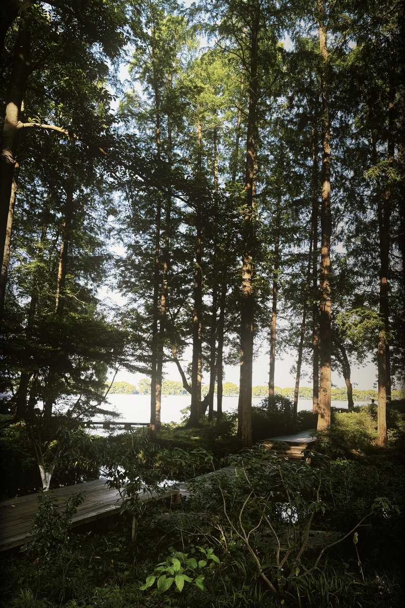 dragon006123's tweet photo. 夏天，和熟悉的味道 #杭州 https://t.co/SoOgGFt0xN