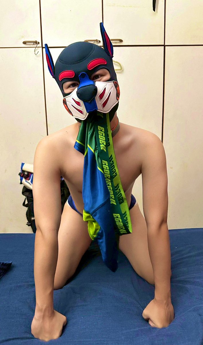 羽墨 tweet media