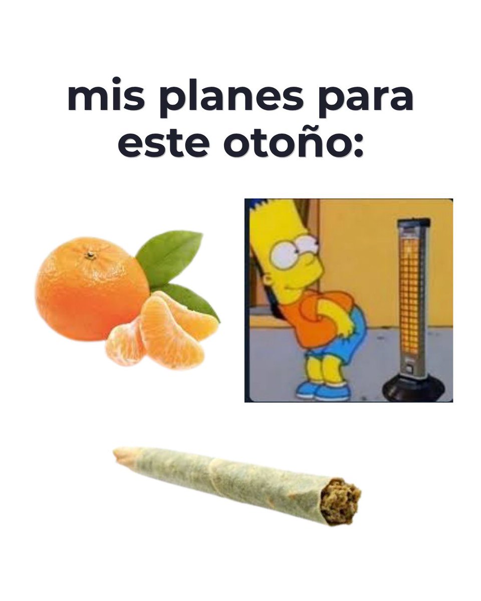 y un guiso