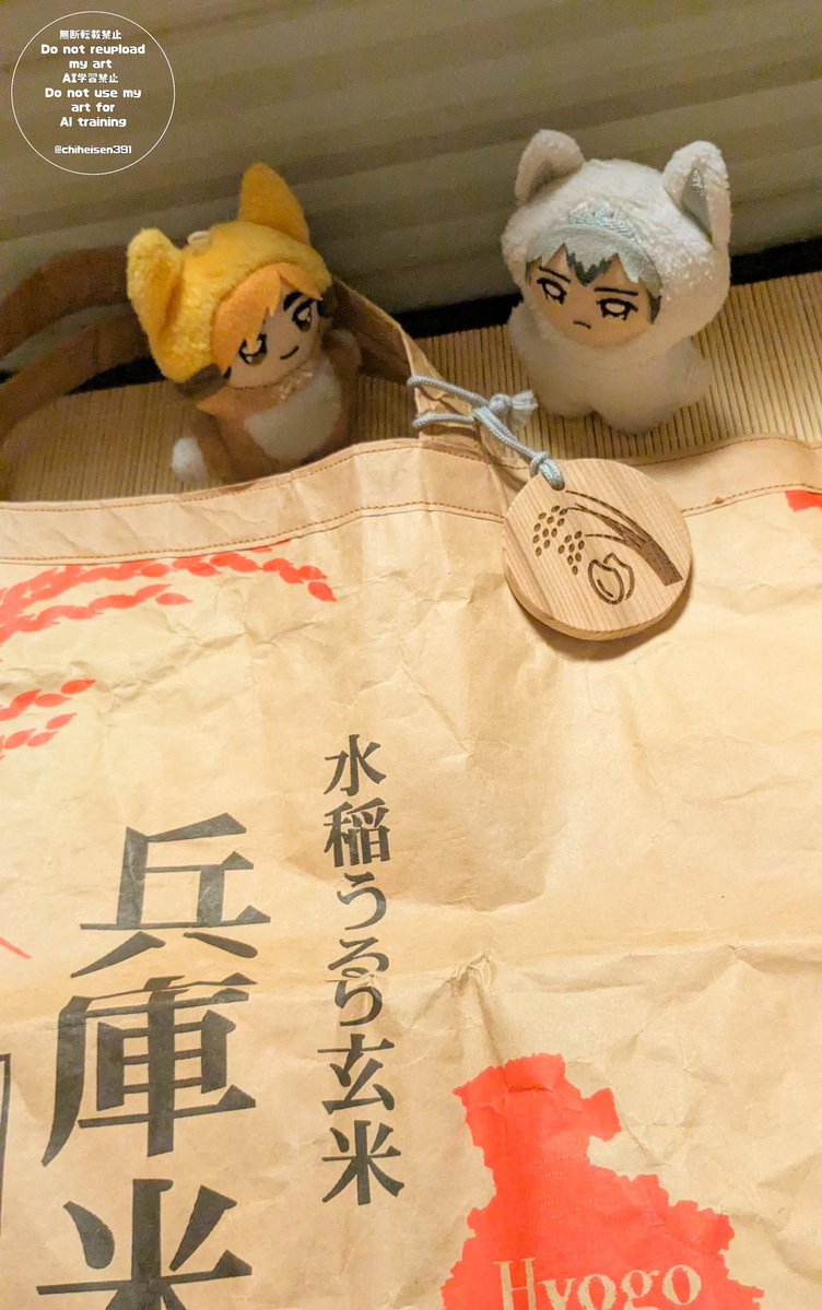 今日はドライブがてら
道の駅へ行ってきました
いろいろ見ていたら発見………！
米袋バッグにつけました
店内中央には大きい櫓杉もあり
素敵なところでした😊
(店内は撮るの忘れてました……)