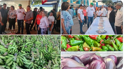 adisneida89's tweet photo. Se realiza feria Agro-comercial superando obstáculos. #LasTunas #CubaVive #BastaDeAsfixia https://t.co/YRF4yRJq2a