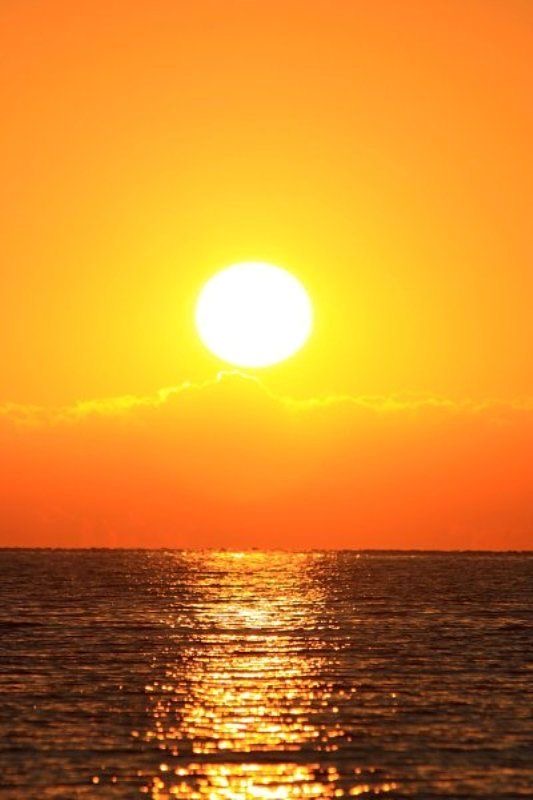 라큐 tweet media