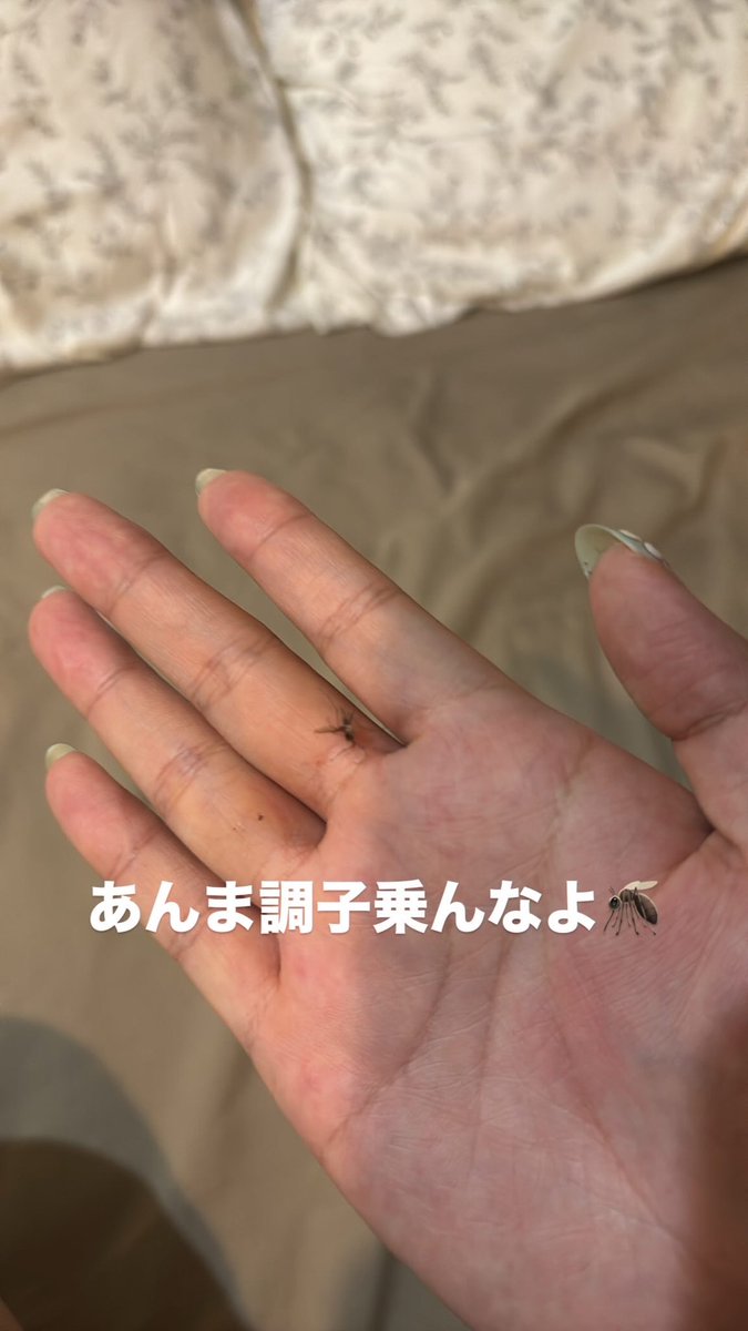 microdaro's tweet photo. https://t.co/2yNolKrNMp