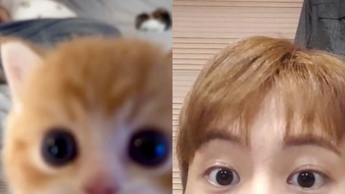 ㅊi tweet media