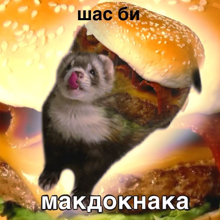 migas1613's tweet photo. я на работе: https://t.co/nihzYsBPKz