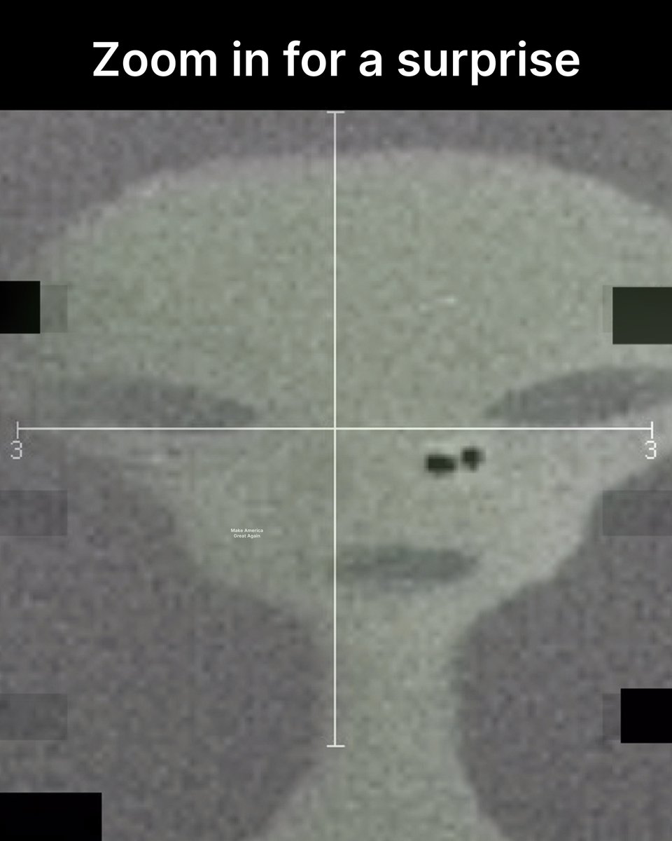 zip the alien tweet media