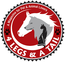 ReinbowRiding's tweet photo. #ReinbowRidingCenter was featured in the Spring Issue of "4 Legs &amp; a Tail" Magazine! 
https://t.co/sFceBsM6ia https://t.co/LhzlonsEkg