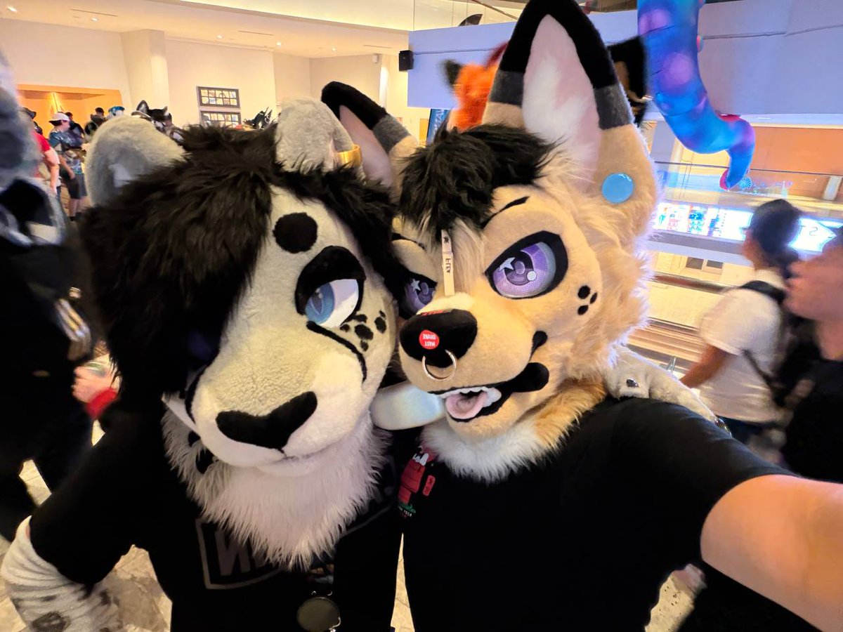 Goth Cheetah ➡️ AC, MP tweet media