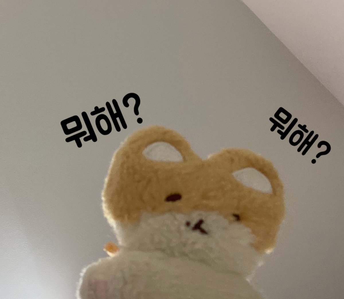 뽀쨧쨕.뽀로록록록쨔자작쨕₊· 백현이 tweet media