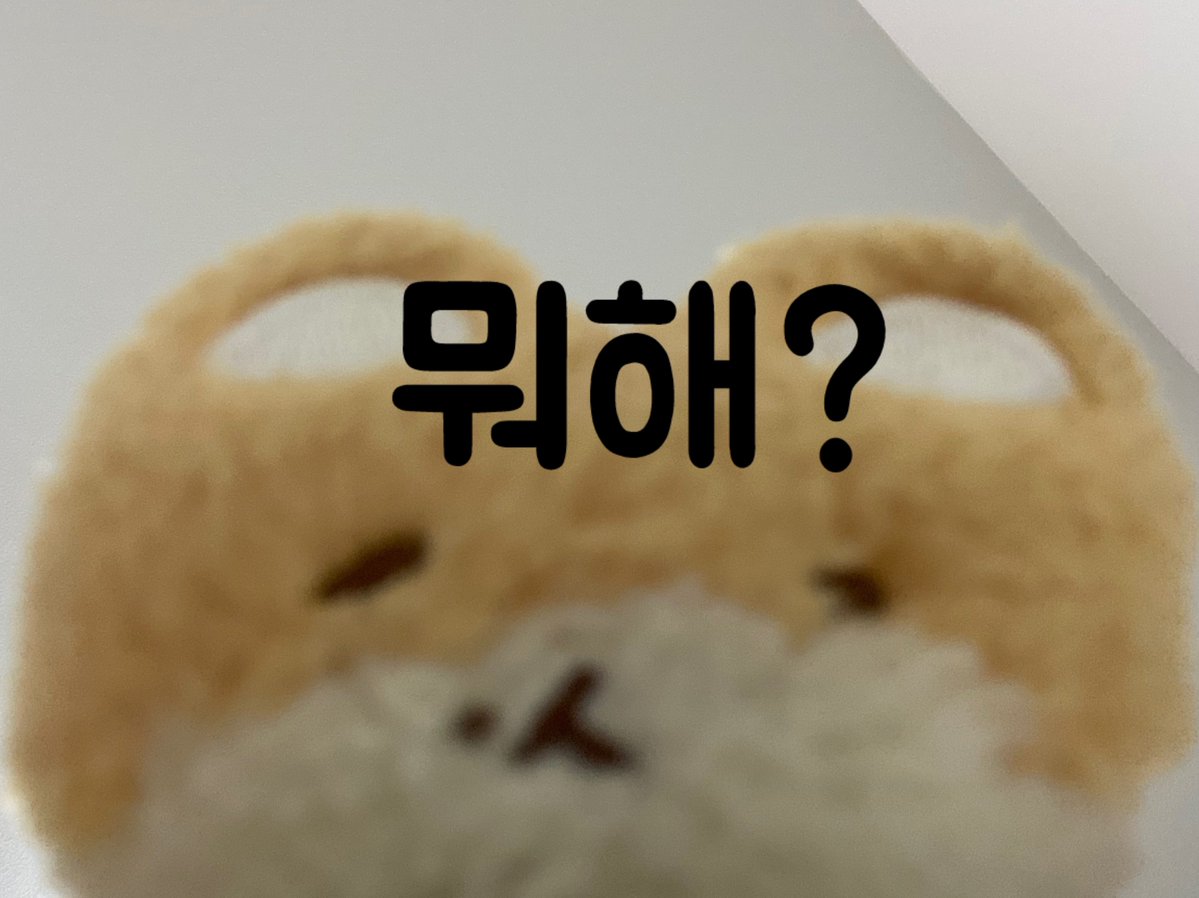 뽀쨧쨕.뽀로록록록쨔자작쨕₊· 백현이 tweet media