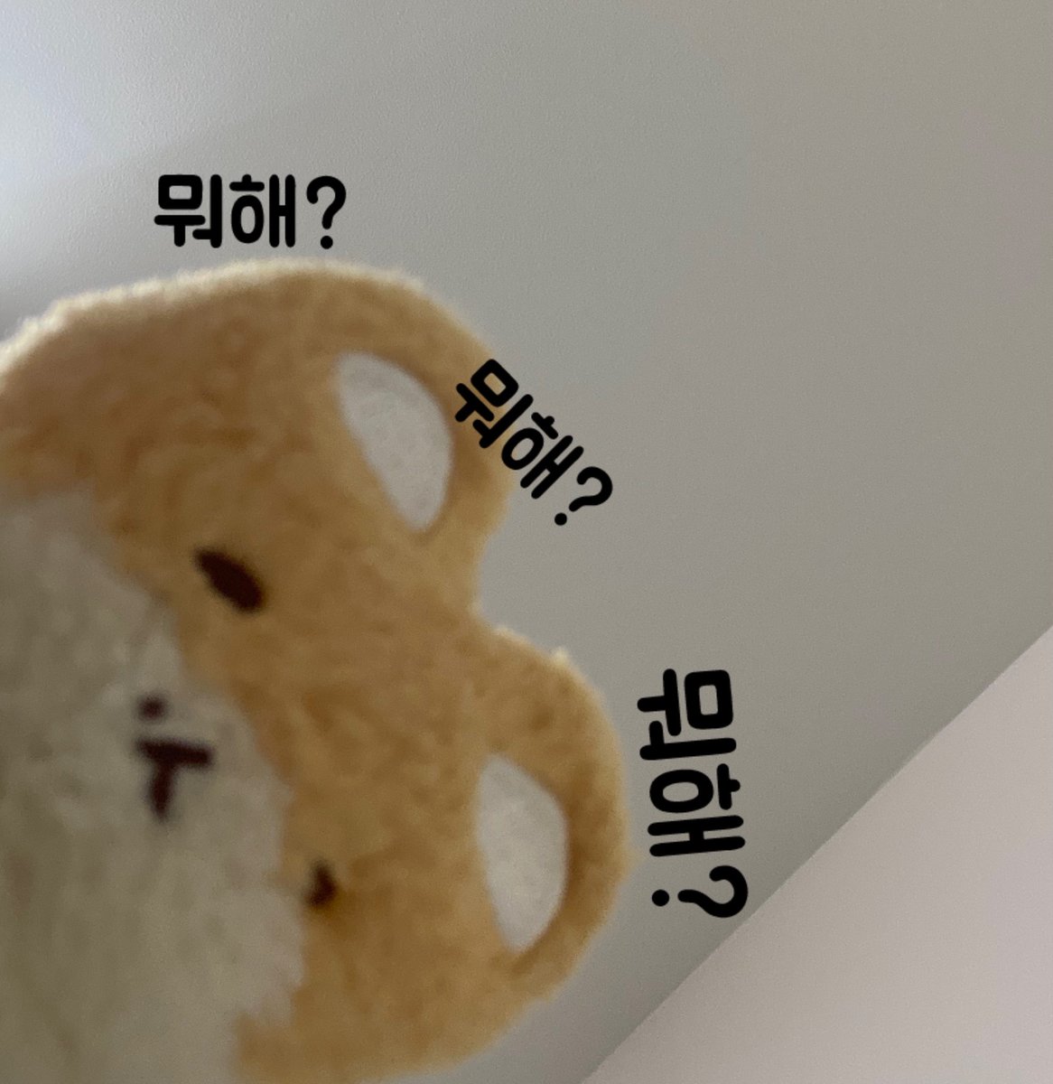 뽀쨧쨕.뽀로록록록쨔자작쨕₊· 백현이 tweet media