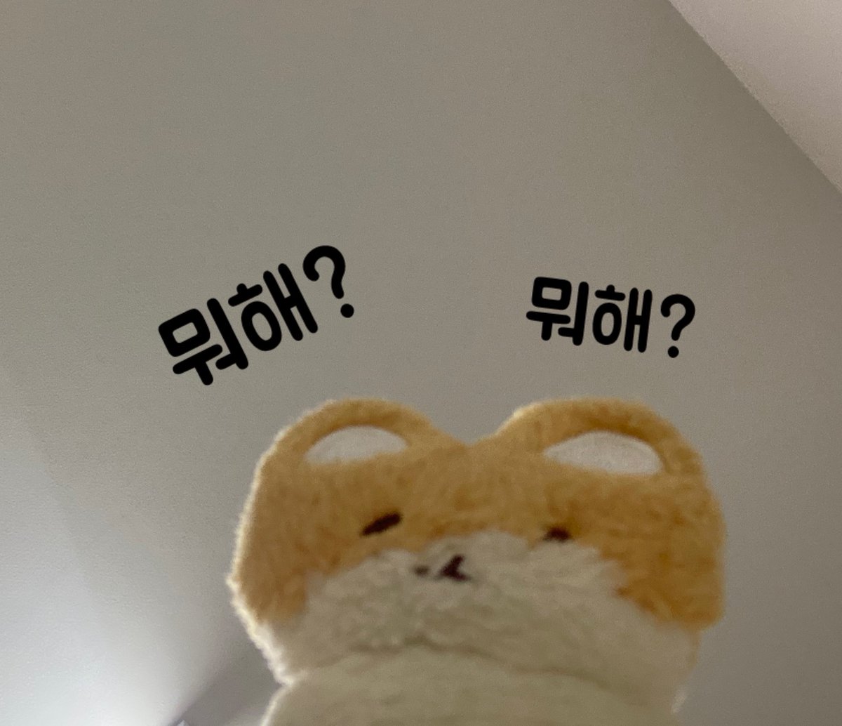 뽀쨧쨕.뽀로록록록쨔자작쨕₊· 백현이 tweet media