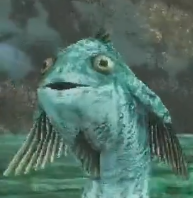 Make Jaggi Great Again tweet media