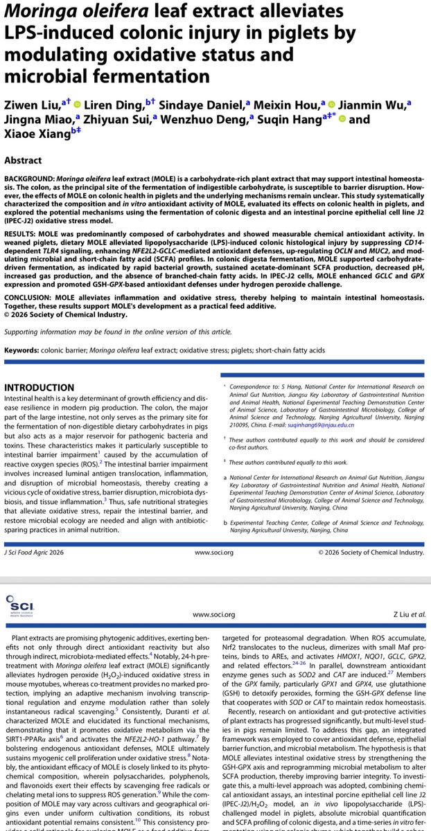 DanielSindaye's tweet photo. Extract of Moringa oleifera leaf has a beneficial important in improving animal health and nutrition. Interesting can read our last article published by our laboratory (gastrointestinal microbiology). Research is the key of success in animal production. https://t.co/8U2K0Smkew