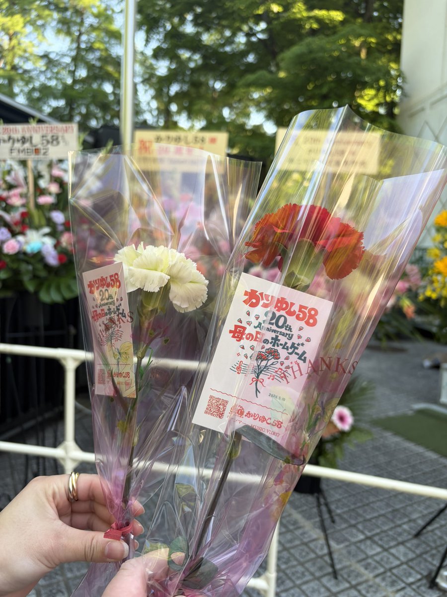 むろネコ☆703号 tweet media