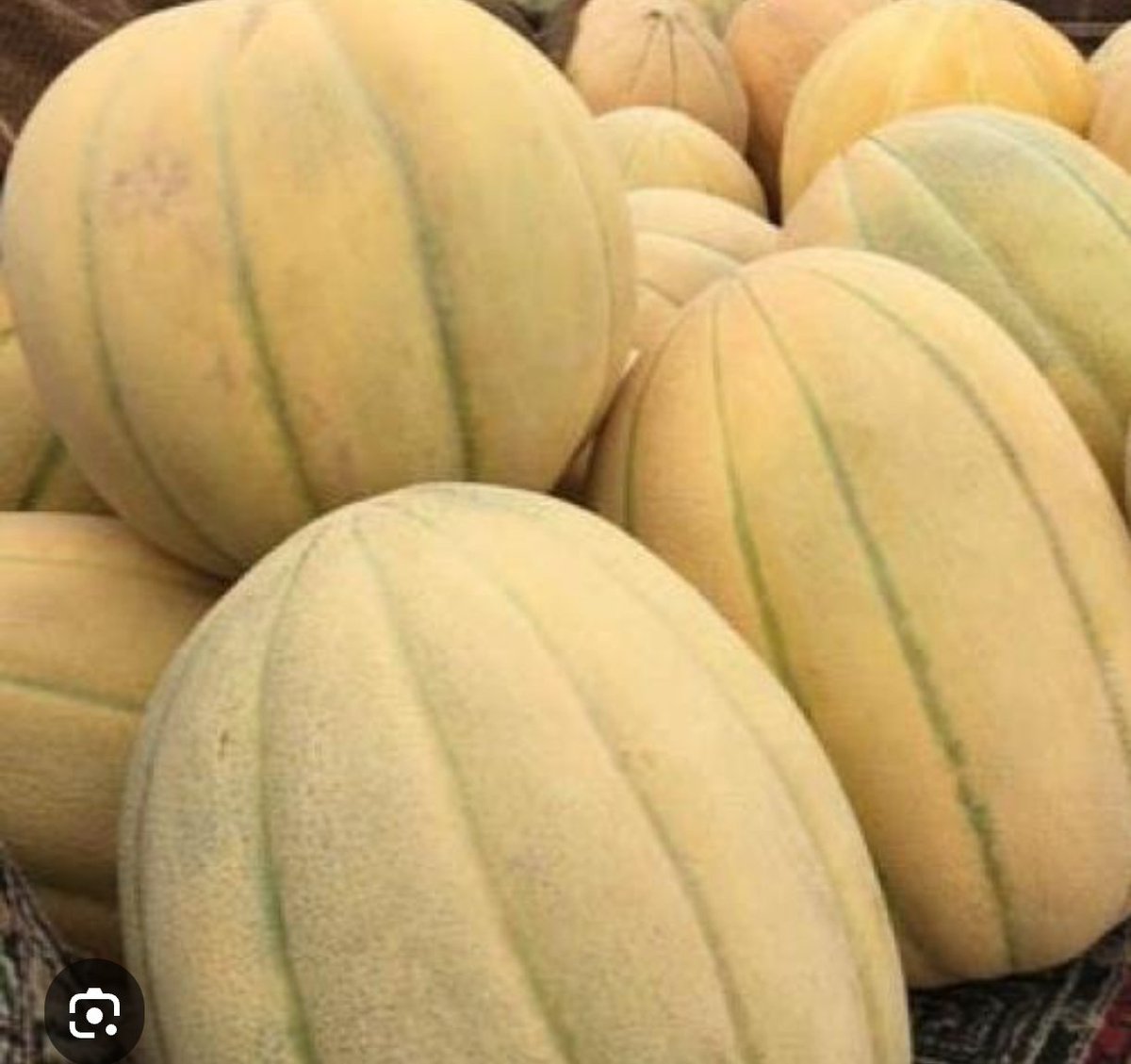 عبدالمجيد الفايز (ابو عبدالرحمن) 🇸🇦 tweet media