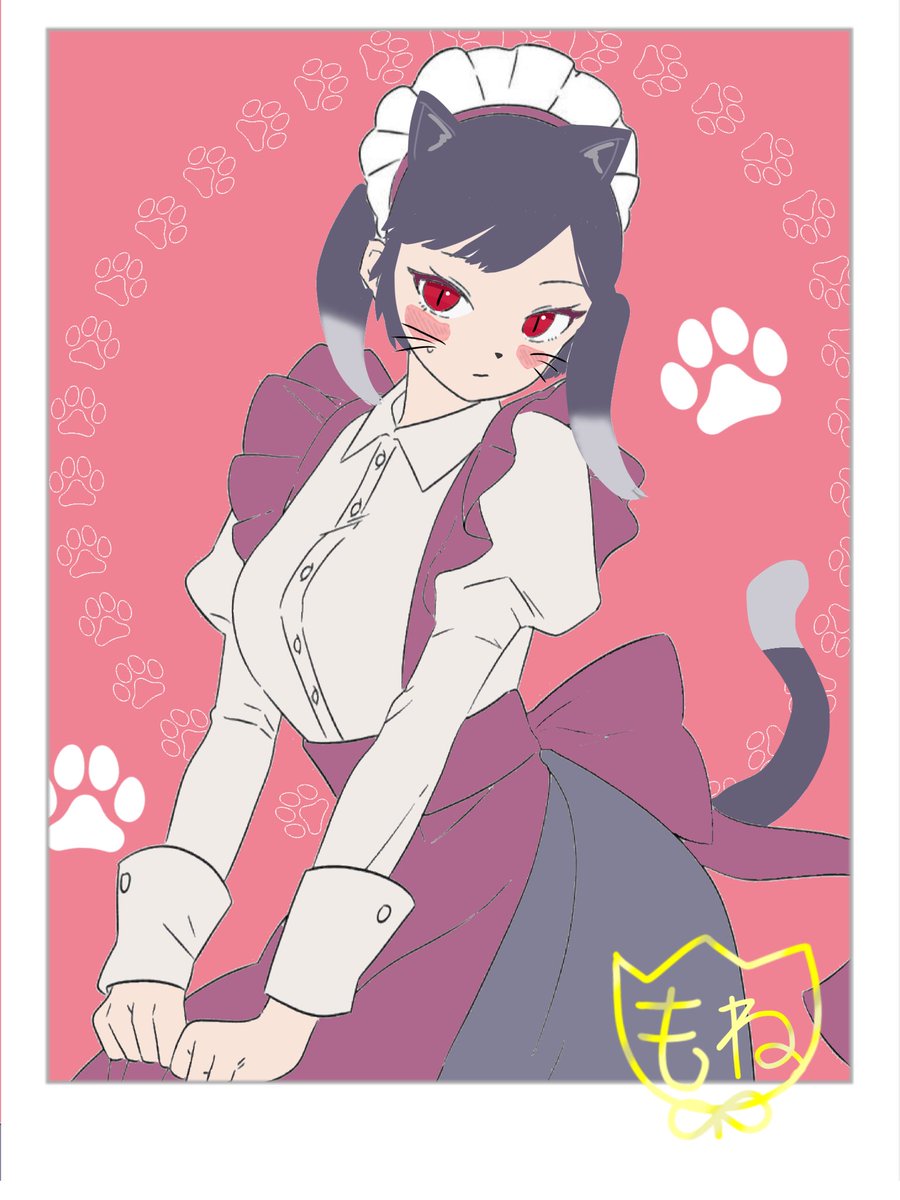 ねこあい🐈 tweet media