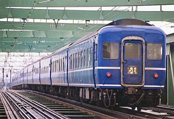 専用出品 とある岐阜の鉄道オタクさま この個体はかなりオタクみがある。