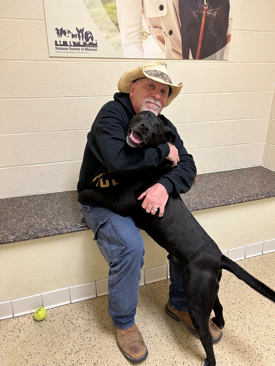 Humane Society of Missouri tweet media