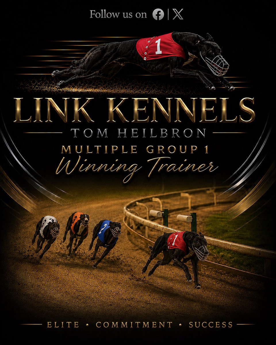 Tom Heilbron - Link Kennels tweet media