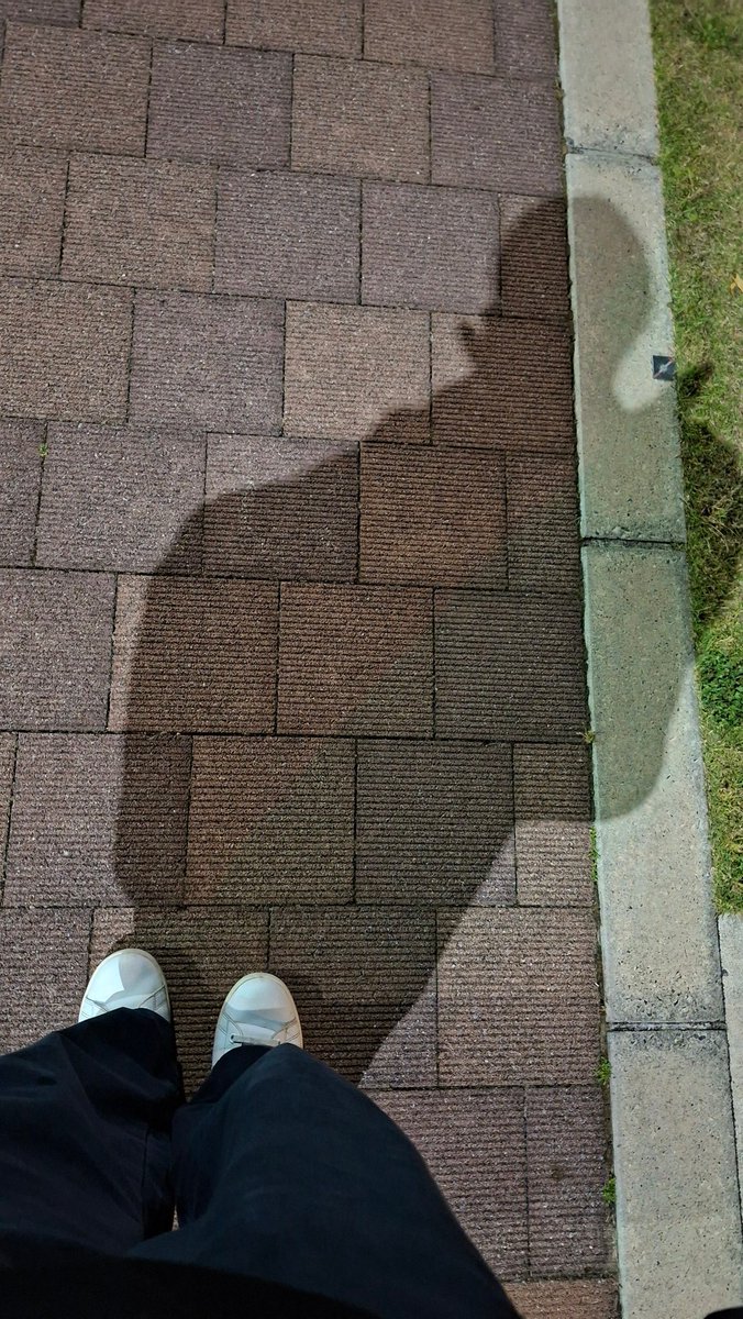 おどるくらげ tweet media