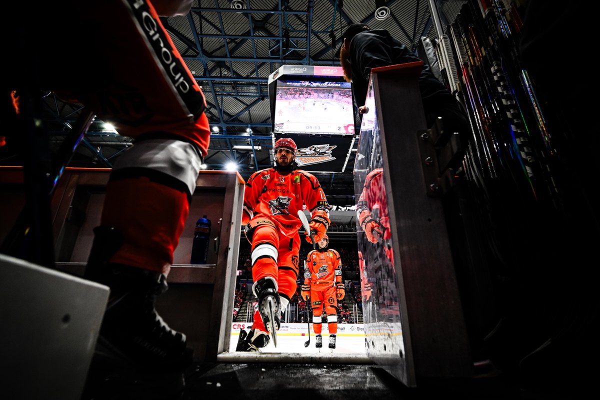TriggerHub Sheffield Steelers tweet media