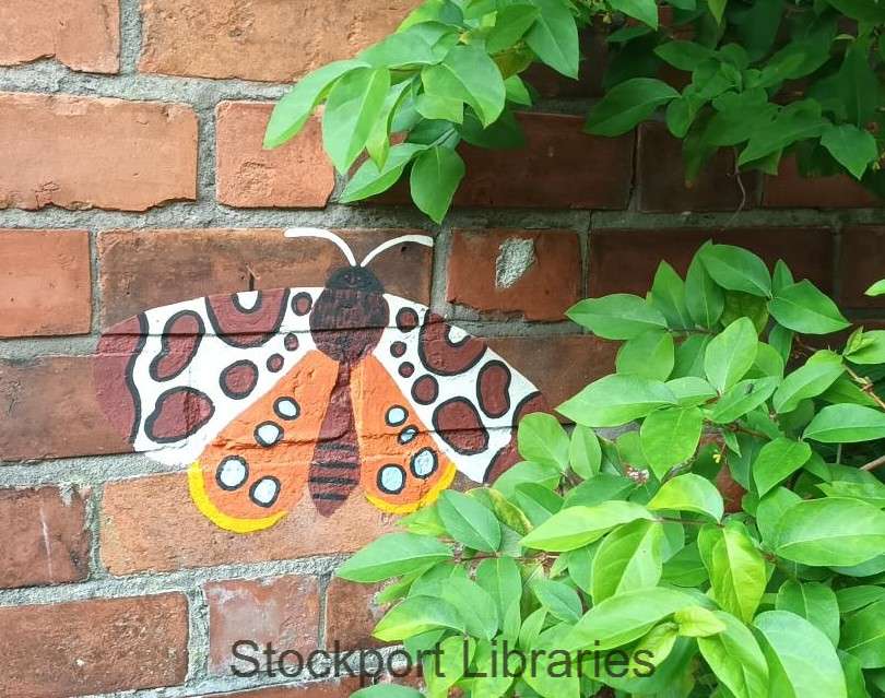 Stockport Libraries tweet media
