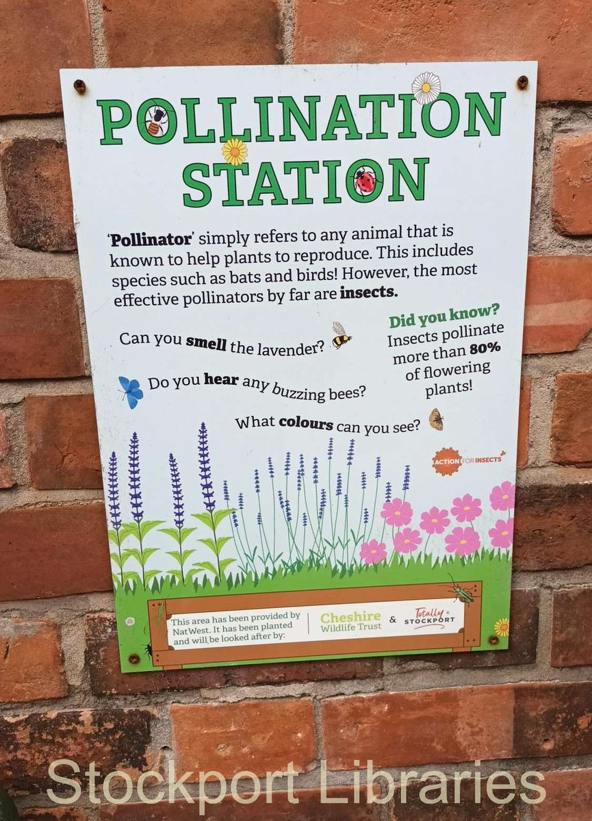 Stockport Libraries tweet media