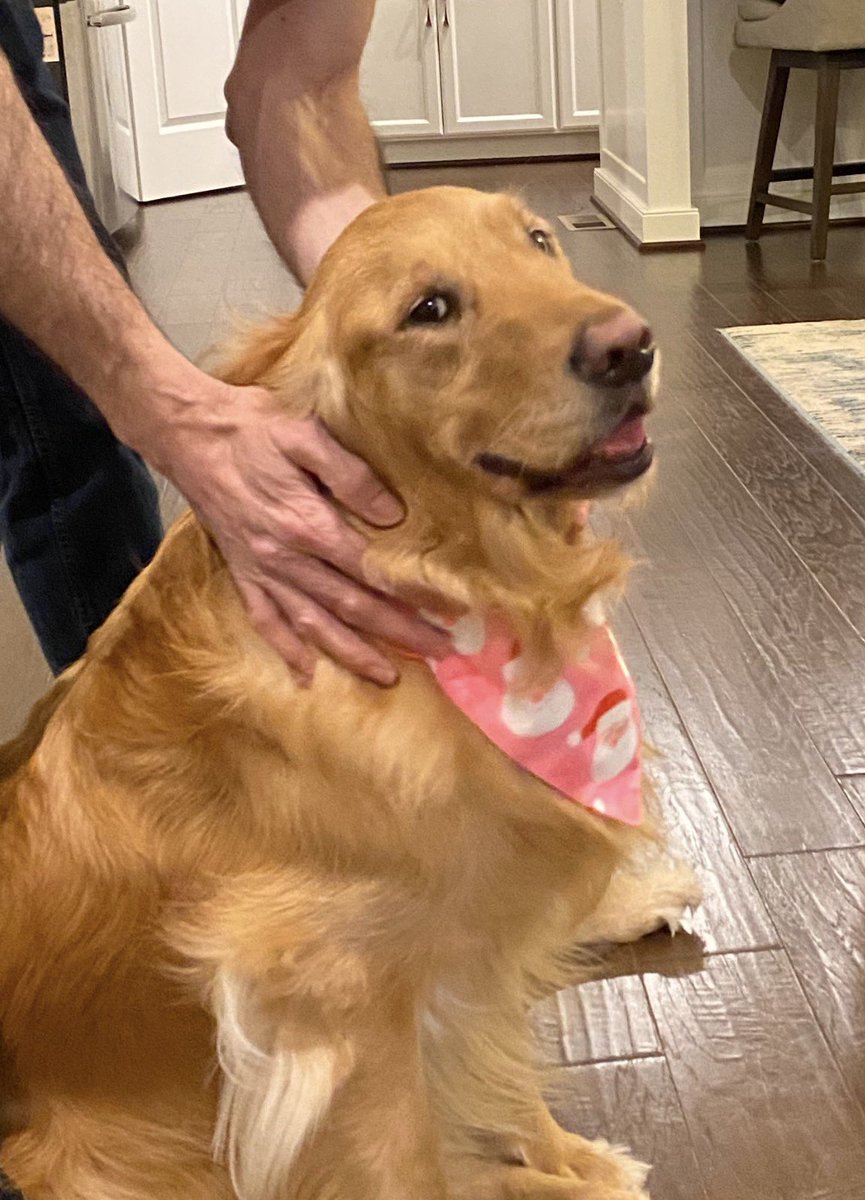 Roger Villa 💙 tweet media