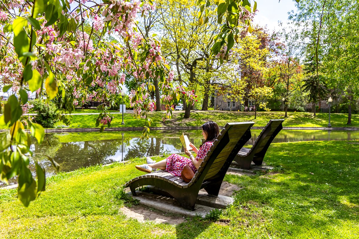 Montréal tweet media