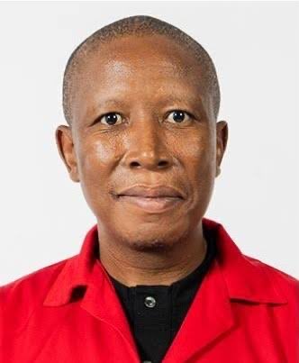 Mbungulu the political prisoner😂🤣🤣🤣🤣🤣🤣🤣🤣🤣🤣 <a href="/Julius_S_Malema/">Julius Sello Malema</a>