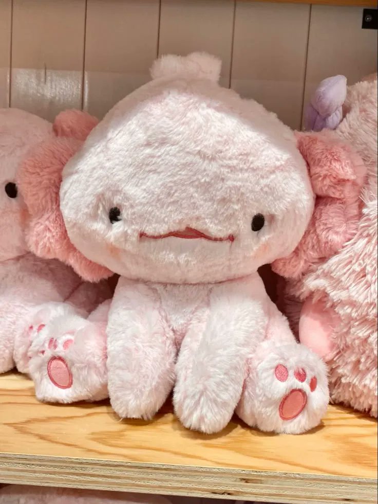 ruthless_ruhi's tweet photo. Look what I got love stuffie from sampeer https://t.co/8UHoMdBhmm #Wishlist #Throne https://t.co/GP5gGZVswz