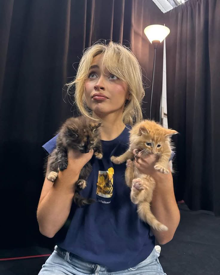 Sabrina Carpenter Insights tweet media