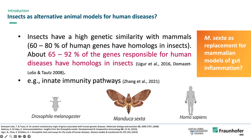 NCIARTNet's tweet photo. At today’s Functional Screens and Assays #ARTNetWGMeeting, Dr. Anton Windfelder @AntonGeorgeM from the Fraunhofer Institute for Molecular Biology shared fascinating research on host-pathogen interactions using caterpillars as a model organism. The presentation sparked a highly engaging discussion among participants. #ARTNet