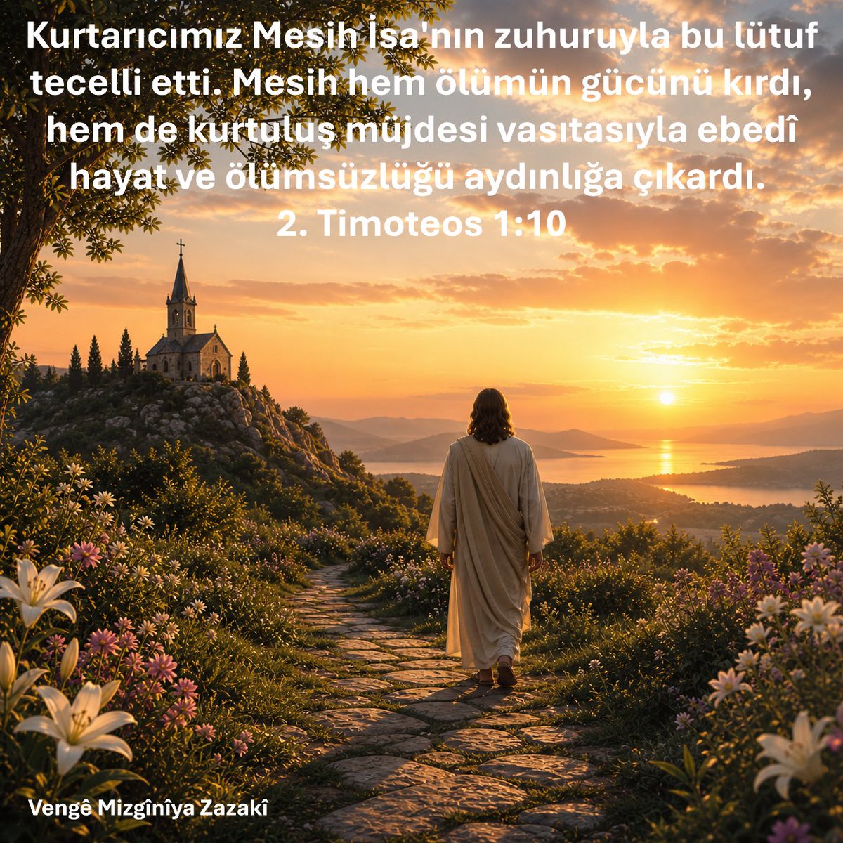 VMizgini's tweet photo. https://t.co/jy9SZ1yHPL