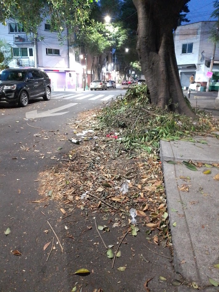 HectorA13447233's tweet photo. @AccionesBJ  @BJAlcaldia @LuisMendozaBJ @locatel_mx   Agradecería su atención y respuesta para limpiar calle Miramar # 905 , entre Pirineos y Ermita Iztapalapa, una semana ha pasado y ahora ya es un basurero  ‼️🆘 https://t.co/tgVHCamY05