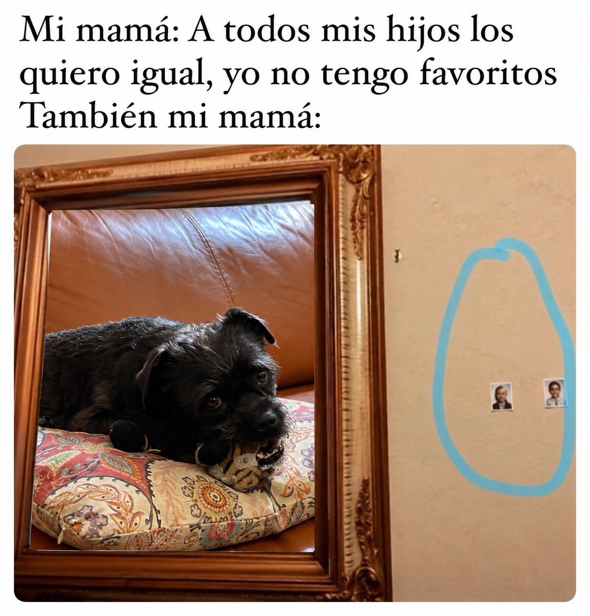 Ivette Arellano 🧘🏼♀️ tweet media
