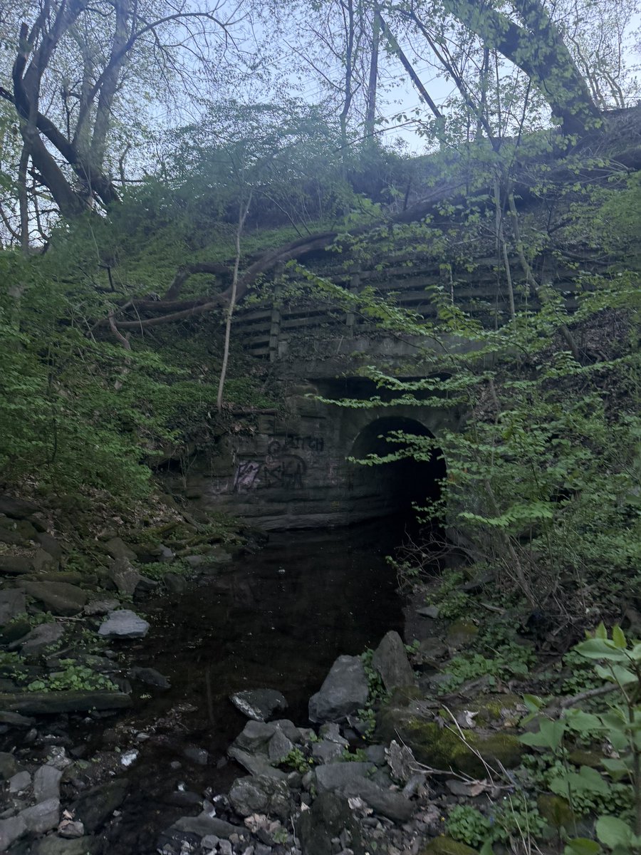 offical_cudi's tweet photo. We love a good nature walk 🌿🚶🏾 https://t.co/5SGvX9Sylf